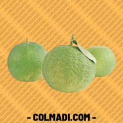 Naranja Agria
